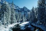 Merced River, Snowy Trees, Valley, Forest, Winter, NPYV01P10_19