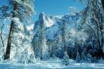 Cathedral Rock, Snowy Trees, Valley, Forest, Winter, NPYV01P11_13