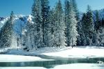 Merced River, Snowy Trees, Valley, Forest, Winter, NPYV01P11_15