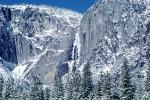 Yosemite Falls, Waterfall, Snowy Trees, Valley, Forest, Winter, NPYV01P12_04