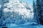 Snowy Trees, Valley, Forest, Winter, Merced River, NPYV01P12_05