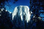 El Capitan, Snowy Trees, Valley, Forest, Winter, Granite Cliff, NPYV01P13_02