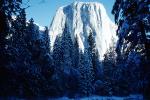 El Capitan, Snowy Trees, Valley, Forest, Winter, Granite Cliff, NPYV01P13_03