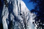 El Capitan, Snowy Trees, Valley, Forest, Winter, Granite Cliff, NPYV01P13_07