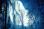 El Capitan, Snowy Trees, Valley, Forest, Winter, Granite Cliff, NPYV01P13_09