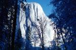 El Capitan, Snowy Trees, Valley, Forest, Winter, Granite Cliff, NPYV01P13_10