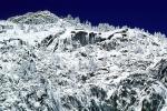 Snowy Trees, Valley, Forest, Winter, Granite Cliff, NPYV01P14_14
