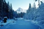 Merced River and Half Dome, Snowy Trees, Valley, Forest, Winter, NPYV01P15_01