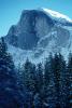 Half Dome, Snowy Trees, Valley, Forest, Winter, Granite Cliff, NPYV01P15_03