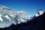 El Capitan, Snowy Trees, Valley, Forest, Winter, Granite Cliff, NPYV01P15_19