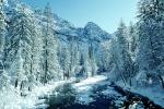 Smooth Snow Covered Rocks, Merced River, Snowy Trees, Valley, Forest, Winter, Woodland, NPYV02P02_02