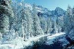 Smooth Snow Covered Rocks, Merced River, Snowy Trees, Valley, Forest, Winter, Woodland, NPYV02P02_03