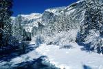 Snowy Trees, Valley, Forest, Winter, NPYV02P02_07
