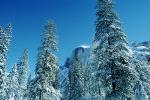 Half Dome, Snowy Trees, Valley, Forest, Winter, NPYV02P02_08