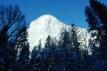 El Capitan, Snowy Trees, Valley, Forest, Winter, Granite Cliff, NPYV02P02_11