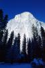 El Capitan, Snowy Trees, Valley, Forest, Winter, Granite Cliff, NPYV02P02_13