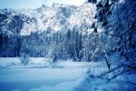 Frozen Merced River, Snowy Trees, Valley, Forest, Winter, NPYV02P03_04
