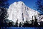 El Capitan, Snowy Trees, Valley, Forest, Winter, Granite Cliff, NPYV02P03_11