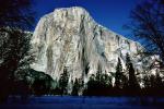 El Capitan, Snowy Trees, Valley, Forest, Winter, Granite Cliff, NPYV02P03_12