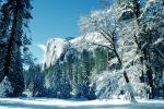 Snowy Trees, Valley, Forest, Winter, Granite Cliff, NPYV02P03_13