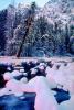 Merced River, Snow Mounds, Ice, Cold, Evergreen Trees, NPYV02P04_08.2569