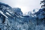 view from tunnel, Yosemite Valley in the Winter, El Capitan, Snowy Trees, Valley, Forest, Winter, Granite Cliff, Woodland, NPYV02P05_01