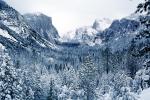 view from tunnel, Yosemite Valley in the Winter, El Capitan, Snowy Trees, Valley, Forest, Winter, Granite Cliff, Woodland, NPYV02P05_04