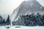 Snowy Trees, Valley, Forest, Winter, Granite Cliff, NPYV02P05_07