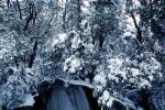 Snowy Trees, Valley, Forest, Winter, NPYV02P06_18
