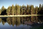Trees, Lake, Reflection, water, NPYV02P09_17