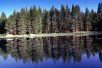 Trees, Lake, Reflection, water, NPYV02P09_18