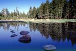 Trees, Lake, Reflection, water, NPYV02P10_03