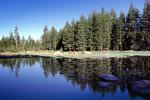 Trees, Lake, Reflection, water, NPYV02P10_05