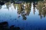 Trees, Lake, Reflection, water, NPYV02P10_07