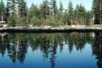 Trees, Lake, Reflection, water, NPYV02P10_08