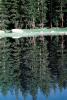 Trees, Lake, Reflection, water, NPYV02P10_10