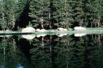Trees, Lake, Reflection, water, NPYV02P10_11