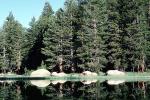 Trees, Lake, Reflection, water, NPYV02P10_12