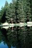Trees, Lake, Reflection, water, NPYV02P10_13