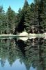 Trees, Lake, Reflection, water, NPYV02P10_14