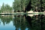 Trees, Lake, Reflection, water, NPYV02P10_15