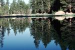 Trees, Lake, Reflection, water