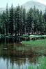 Trees, Lake, Reflection, water, NPYV02P11_01