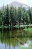 Trees, Lake, Reflection, water, NPYV02P11_04