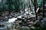 path to Bridal Veil Falls, Rocks, Trees, Forest