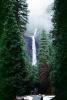 Yosemite Falls, Waterfall, Granite Cliff, NPYV03P14_01