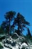 Mini Half Dome, Trees, Granite, NPYV04P03_13