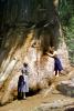 women, Sequoia Tree Trunk, Huge