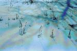 Azure Snow Colorized, NSAPCD3344_043B