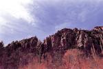 Cliffs and Trees, Oak Creek Canyon, NSAPCD3344_060B